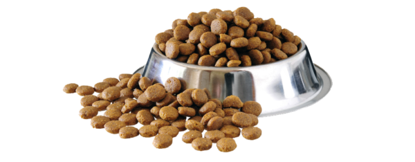 perro adulto Medium 20Kg